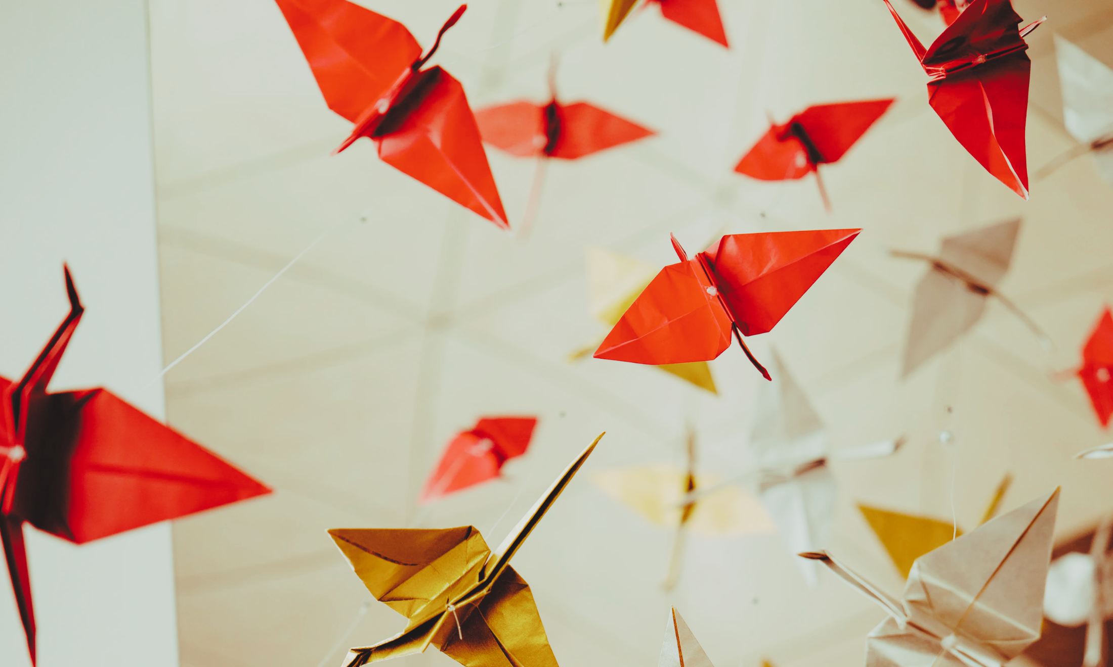 What folding 1,000 origami cranes taught me about living