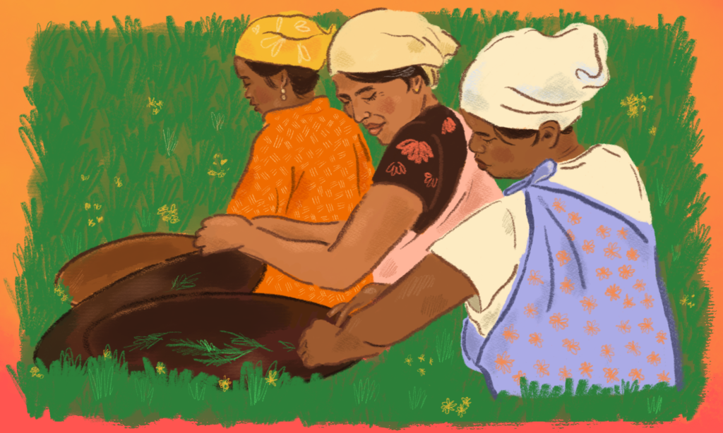 an illustration of three women with their hair covers in a green field