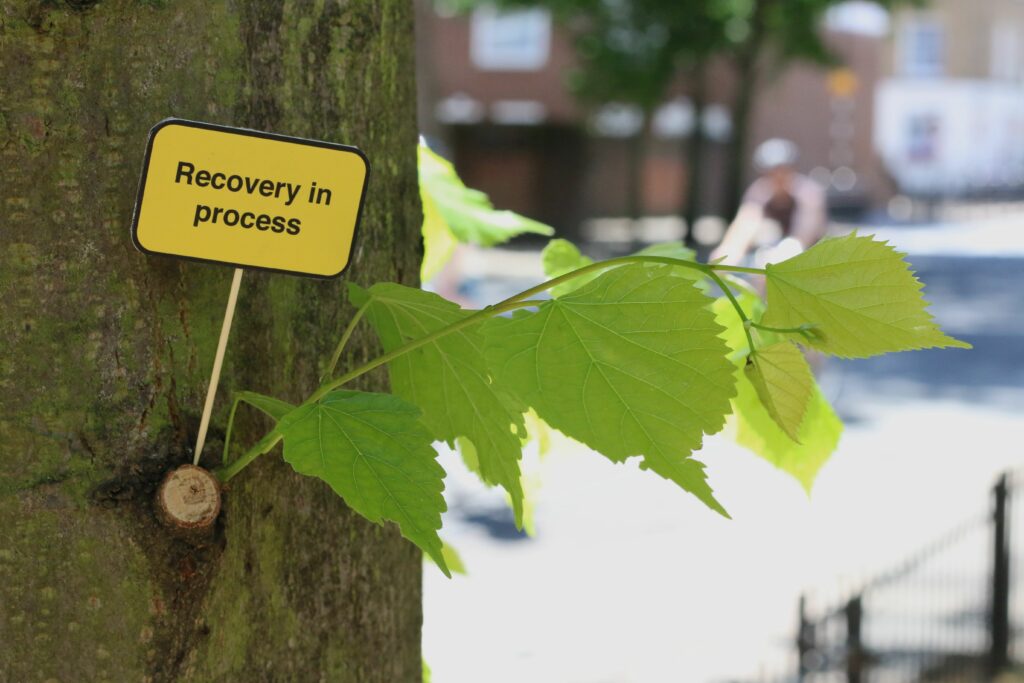 a photograph of a small construction sign reading "recovery in progress" that is stuck into a tree leaf