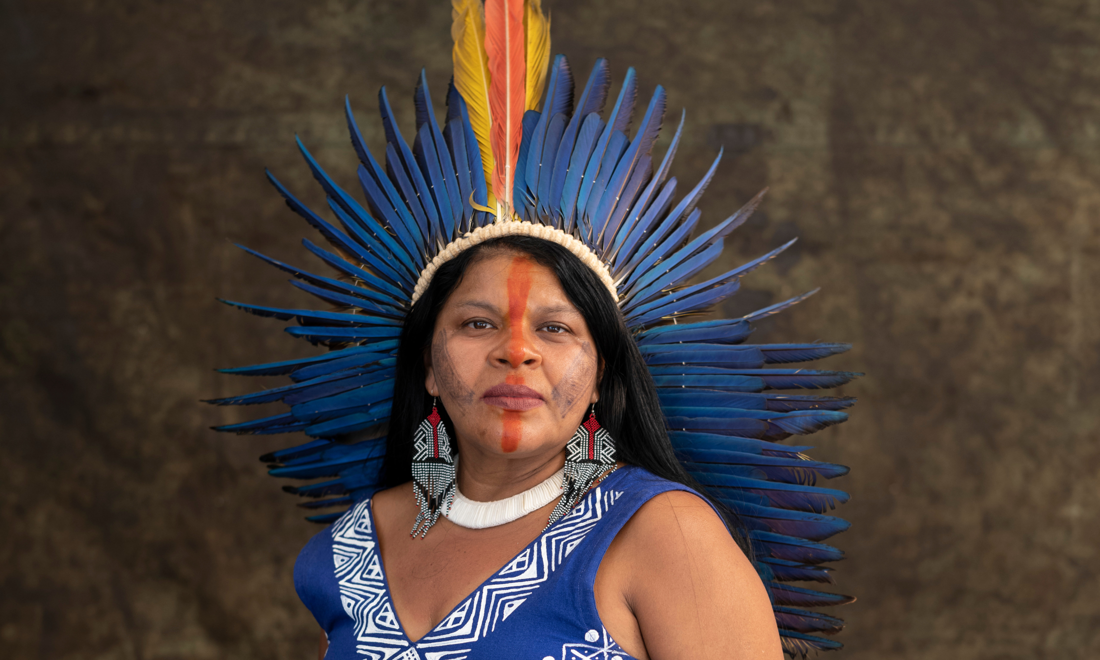 Sônia Guajajara: ‘Electing Indigenous candidates means electing environmental protection’