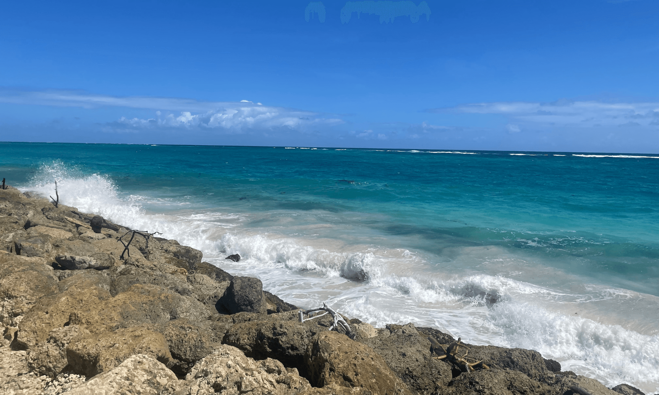 Wanderthirst: bringing my whole self back home to Barbados